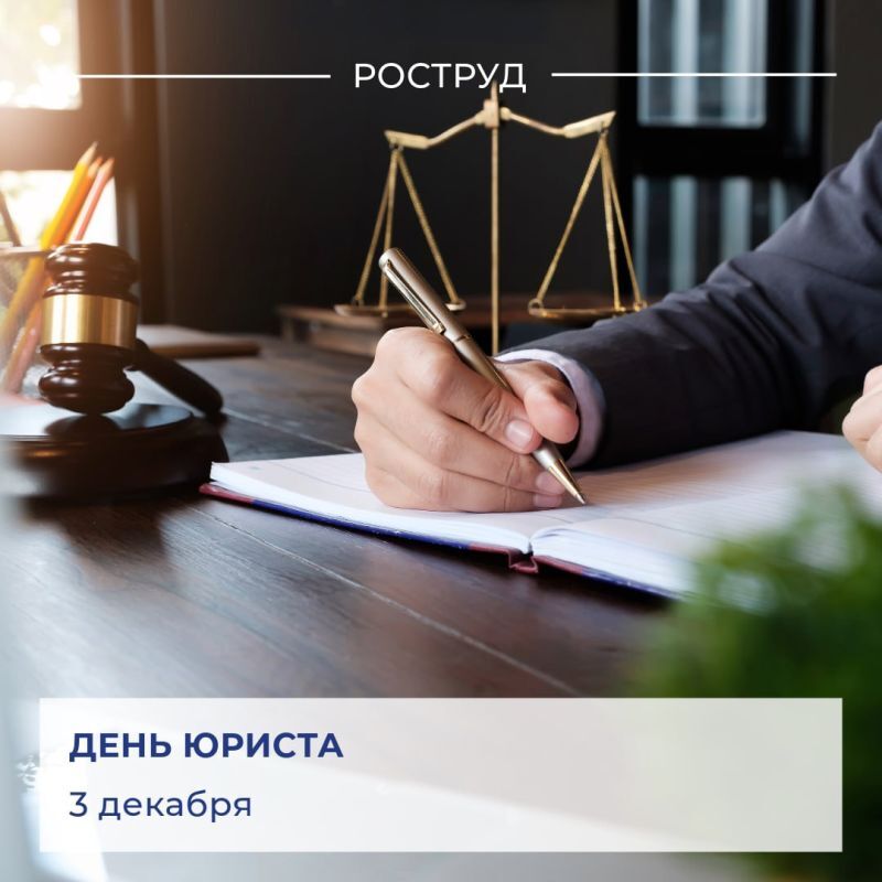 photo 2024 11 28 11 50 01 85f94